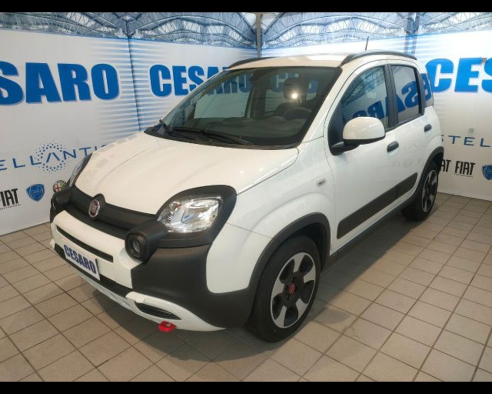 Fiat Panda Cross usata a Aosta