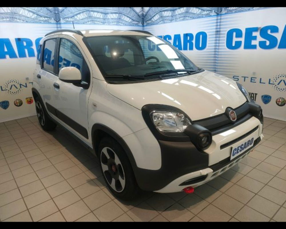 Fiat Panda Cross usata a Aosta (2)