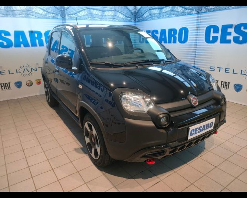 Fiat Panda Cross usata a Aosta (2)