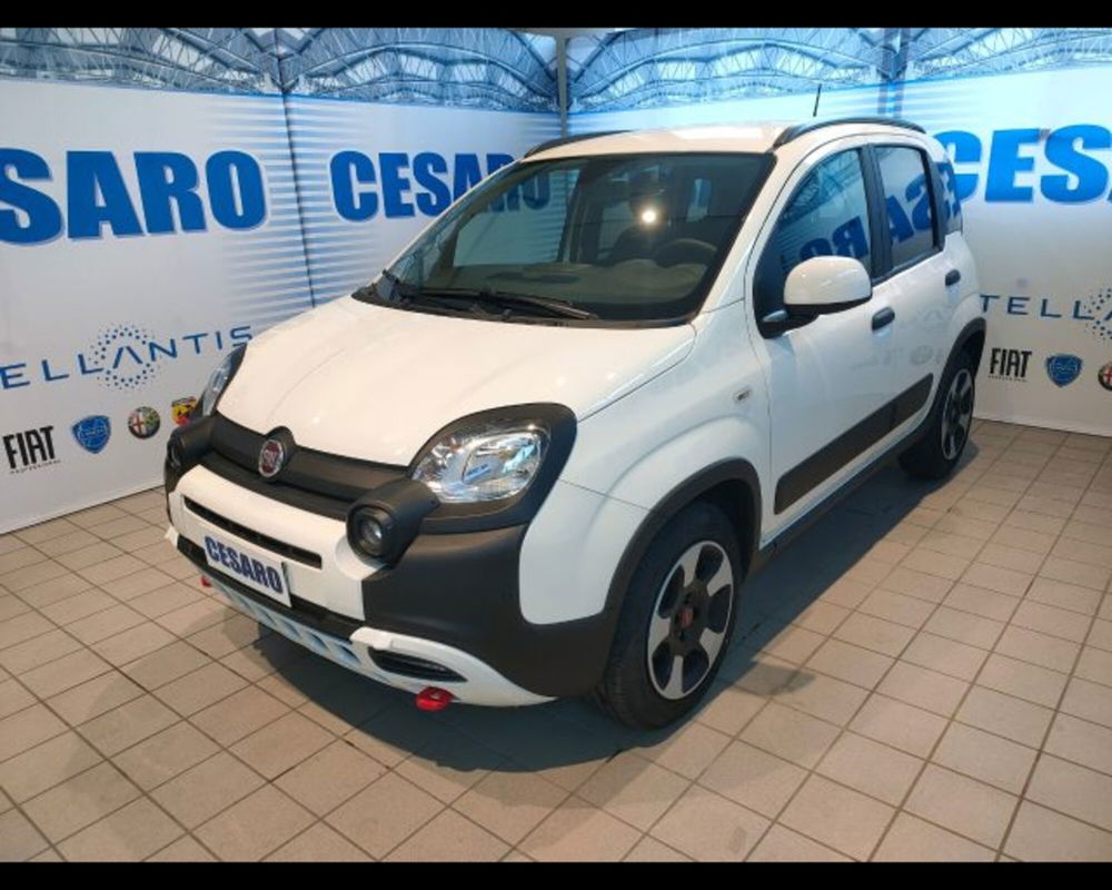 Fiat Panda Cross usata a Aosta