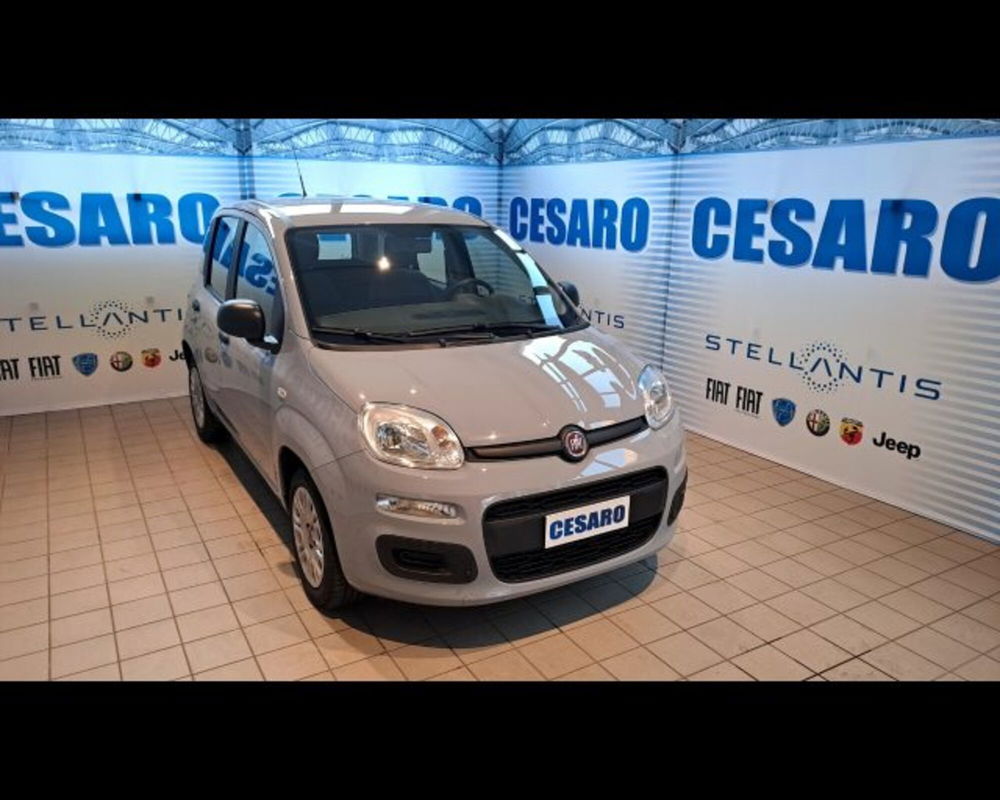 Fiat Panda usata a Aosta (2)