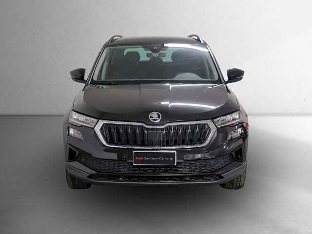 Skoda Kodiaq usata a Catanzaro (2)