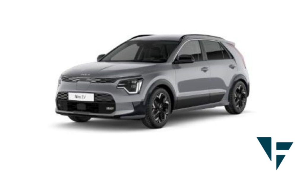 Kia e-Niro usata a Udine (2)