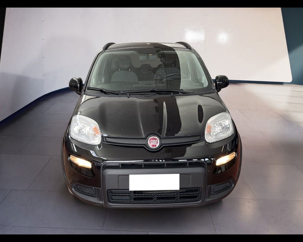 Fiat Panda usata a Torino