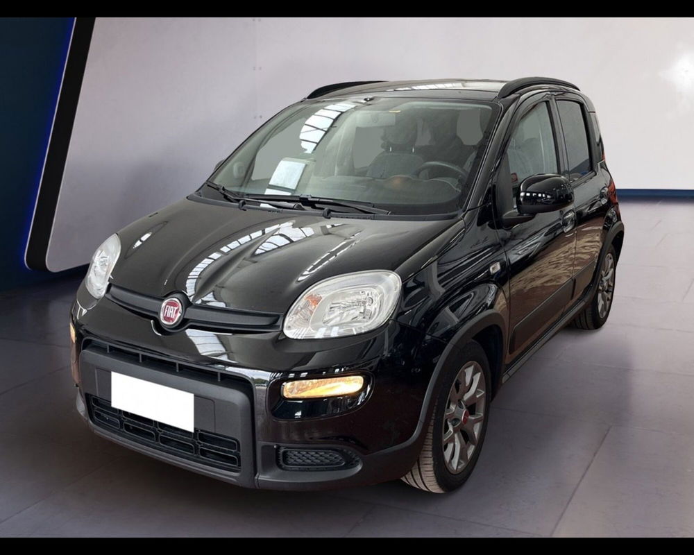 Fiat Panda usata a Torino (8)