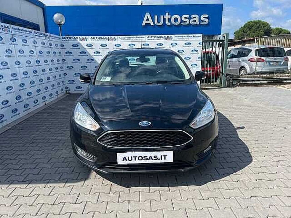 Ford Focus Station Wagon usata a Firenze (4)