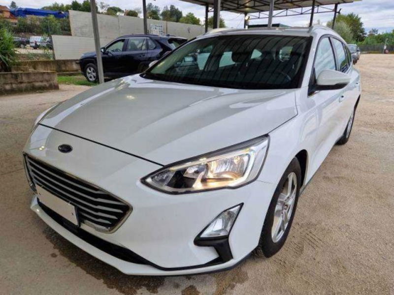 Ford Focus Station Wagon 1.5 EcoBlue 120 CV automatico SW Business  del 2019 usata a Castenaso