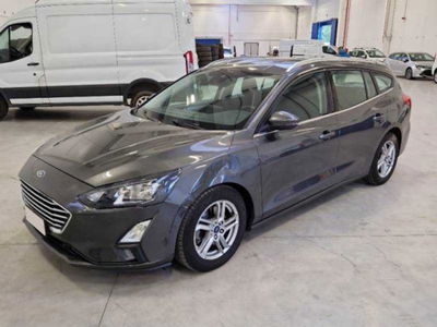 Ford Focus Station Wagon 1.5 EcoBlue 120 CV automatico SW Business  del 2019 usata a Castenaso