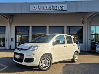 Fiat Panda 1.2 Easy  del 2019 usata a Gallarate