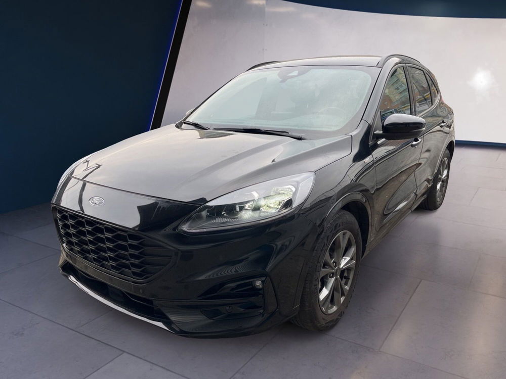 Ford Kuga usata a Torino (3)