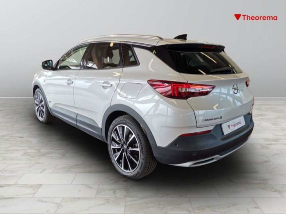 Opel Grandland X usata a Torino (3)