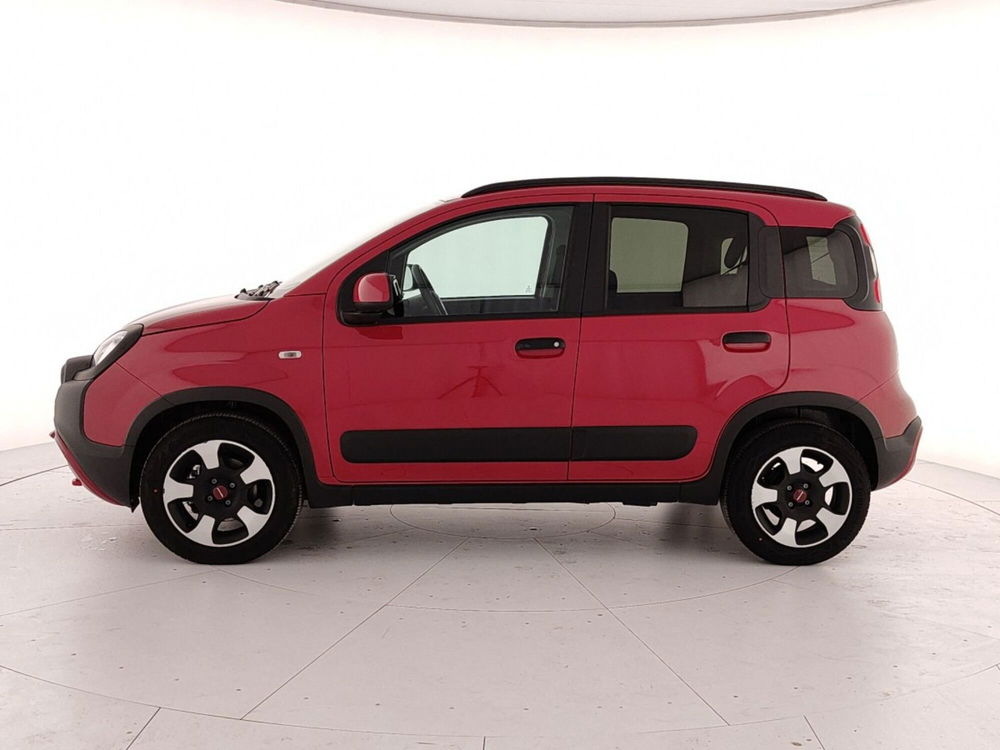 Fiat Panda Cross usata a Caserta (8)