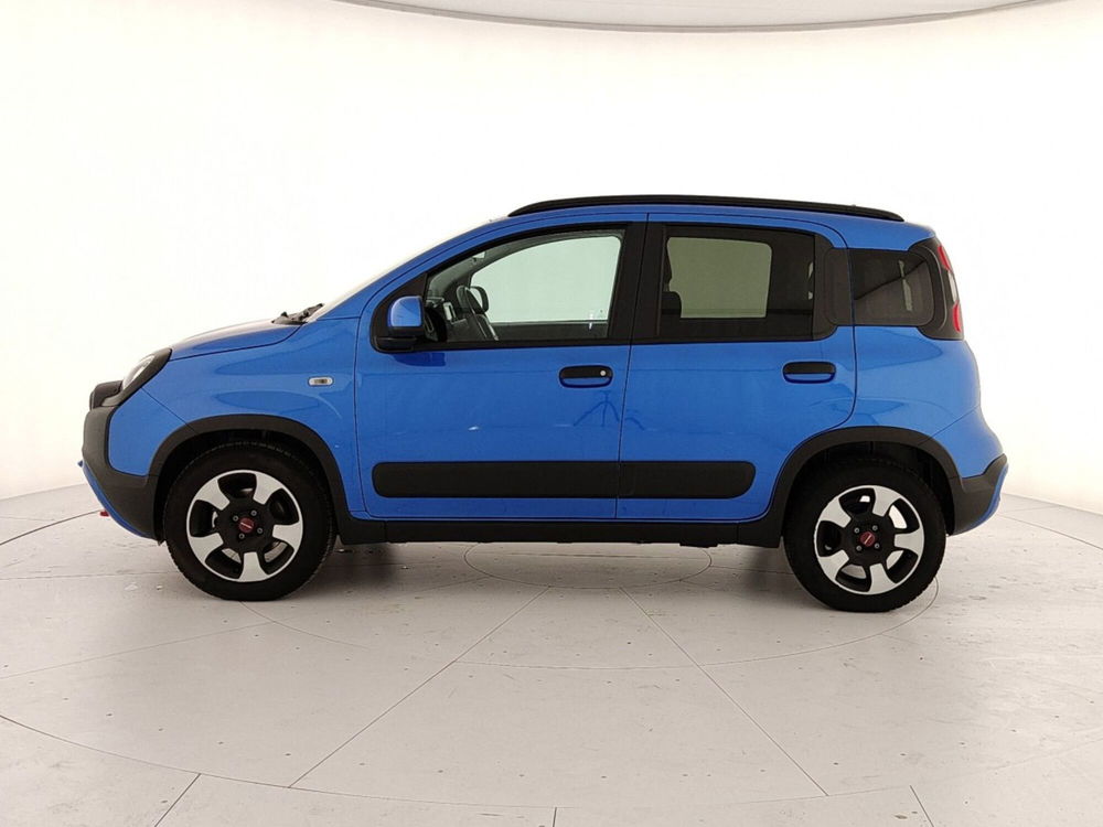 Fiat Panda Cross usata a Caserta (8)