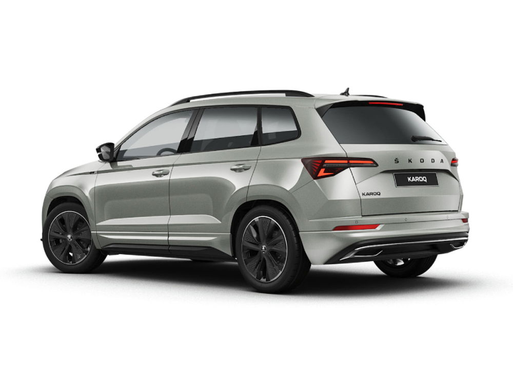 Skoda Karoq nuova a Novara (3)