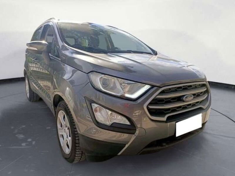 Ford EcoSport 1.5 Ecoblue 100 CV Start&amp;Stop Business  del 2019 usata a Empoli