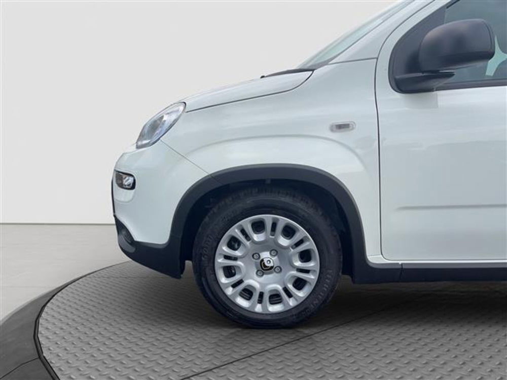 Fiat Panda nuova a Roma (12)