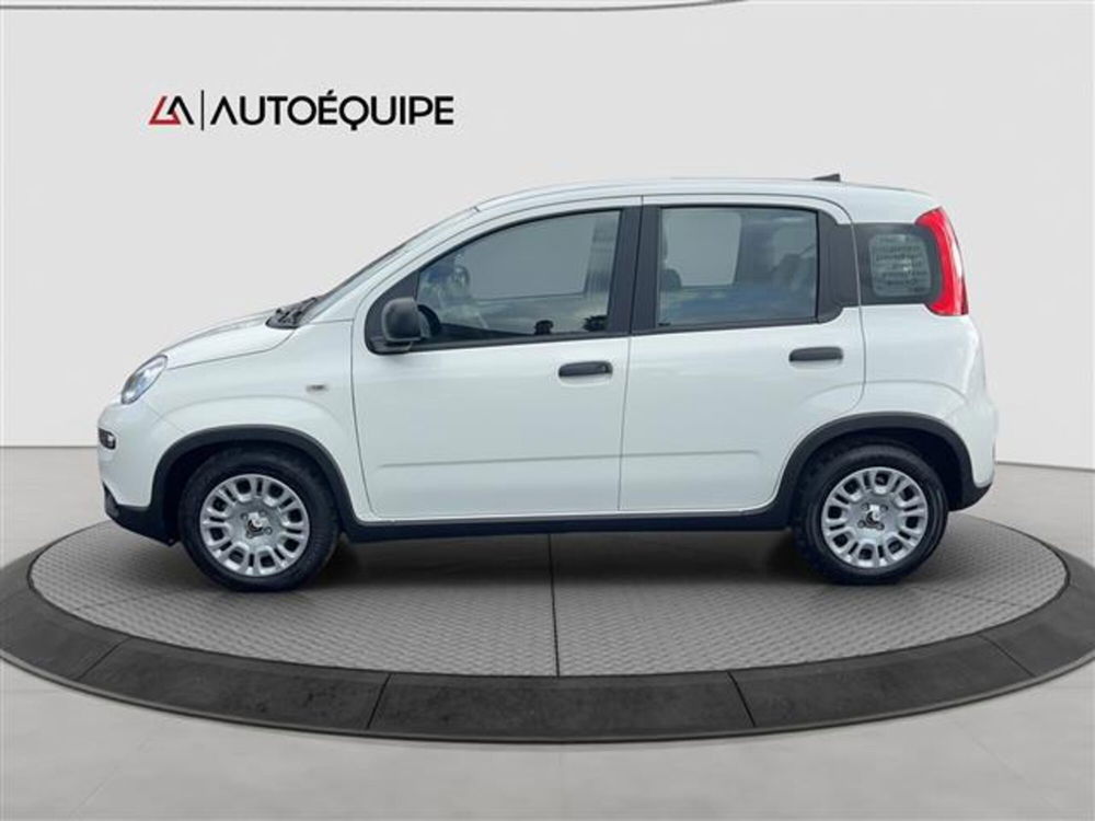 Fiat Panda nuova a Roma (13)