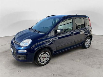 Fiat Panda 1.2 EasyPower Easy  del 2020 usata a Palestrina