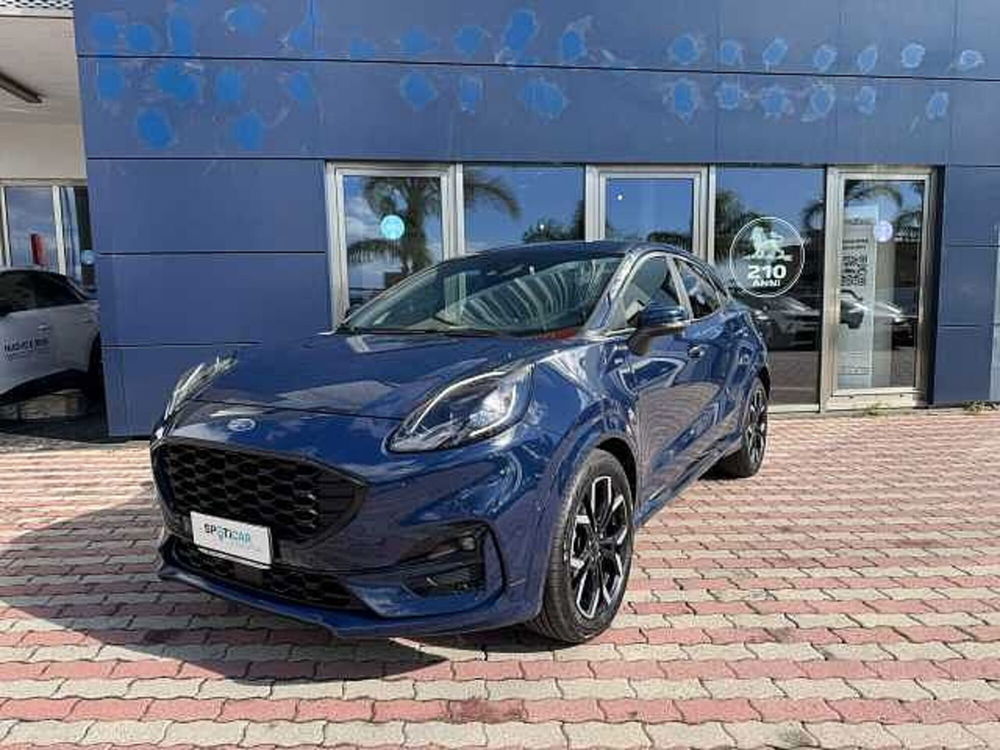 Ford Puma usata a Vibo Valentia