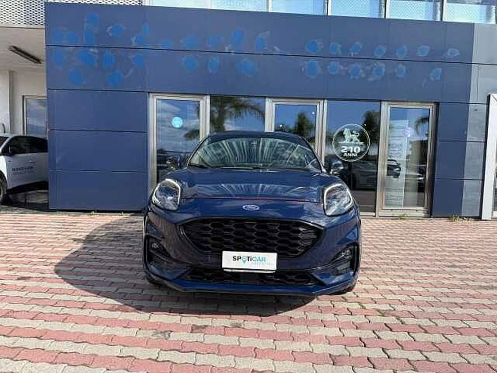 Ford Puma usata a Vibo Valentia (2)