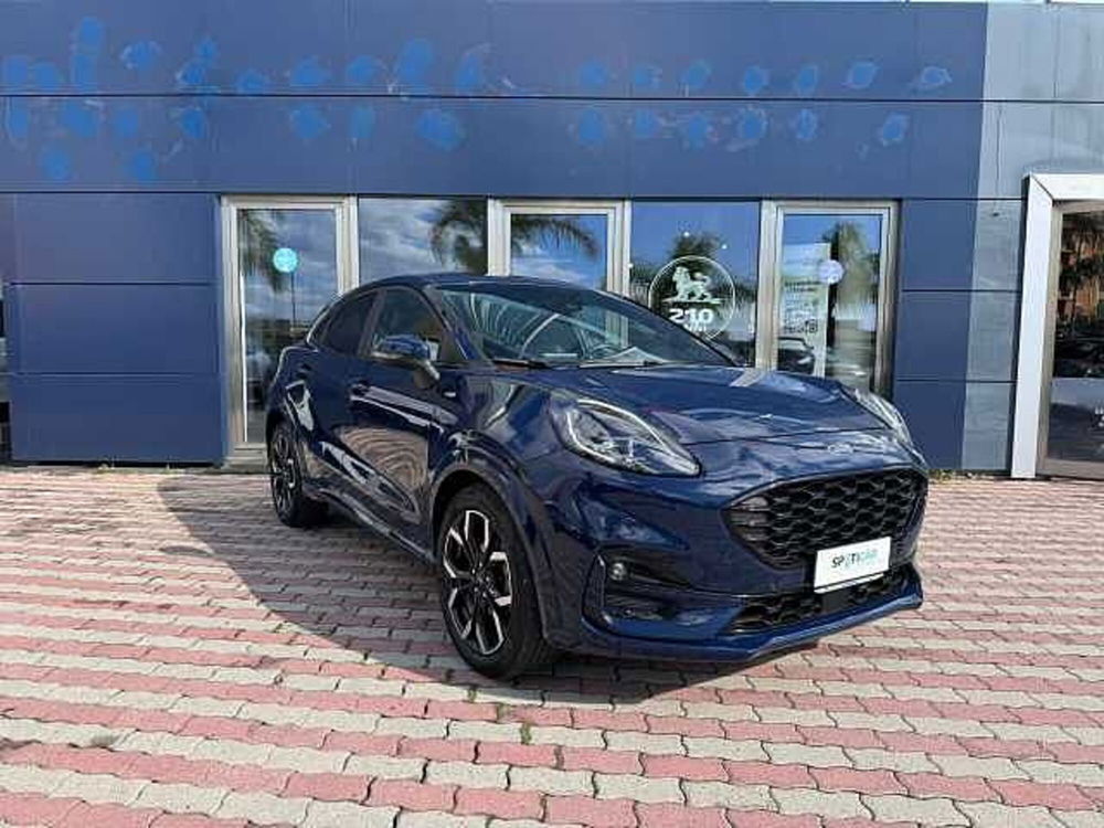 Ford Puma usata a Vibo Valentia (3)