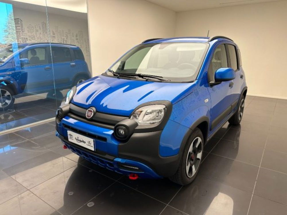 Fiat Panda Cross usata a Cuneo