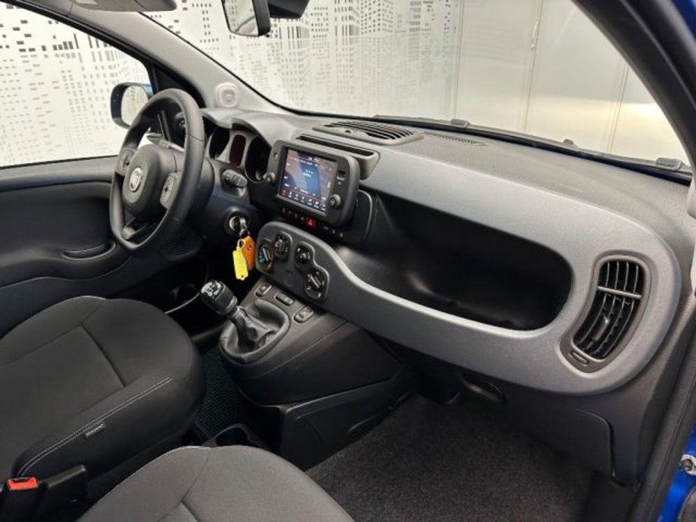 Fiat Panda Cross usata a Cuneo (10)