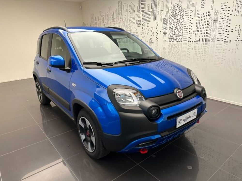 Fiat Panda Cross usata a Cuneo (2)