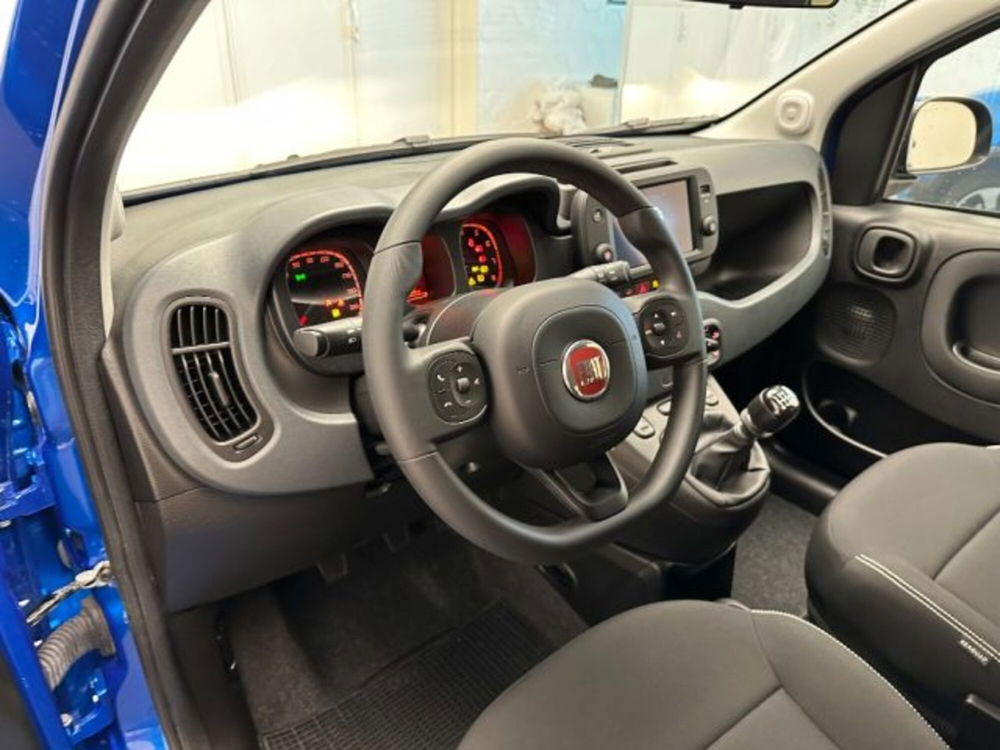 Fiat Panda Cross usata a Cuneo (9)