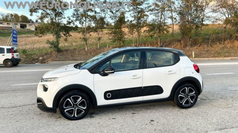 Citroen C3 usata a Campobasso (14)