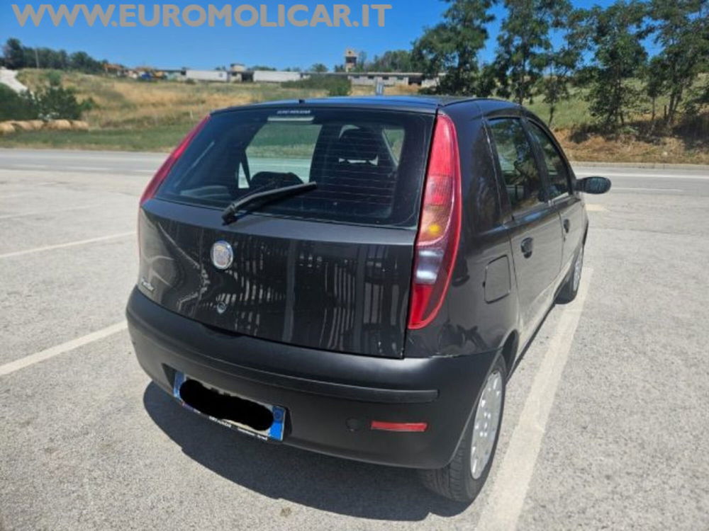 Fiat Punto Classic usata a Campobasso (9)