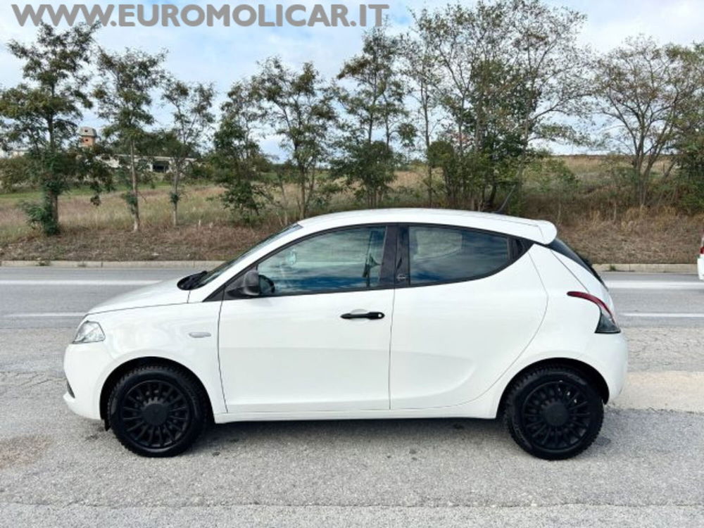 Lancia Ypsilon usata a Campobasso (14)