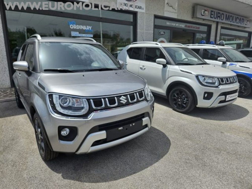 Suzuki Ignis nuova a Campobasso (2)