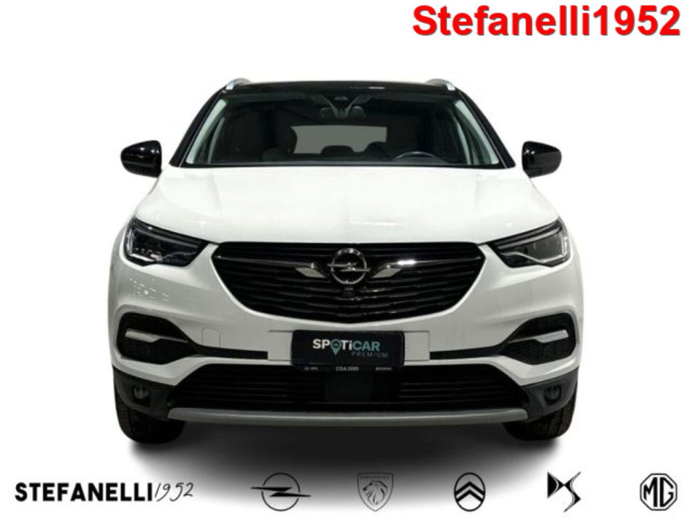 Opel Grandland X usata a Bologna (2)