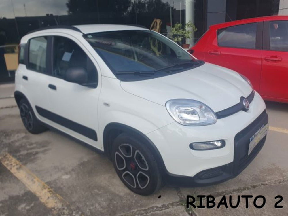 Fiat Panda usata a Cuneo (4)