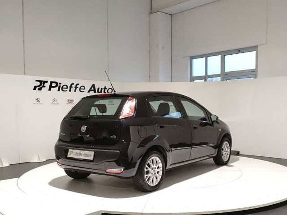 Fiat Punto Evo usata a Teramo (4)