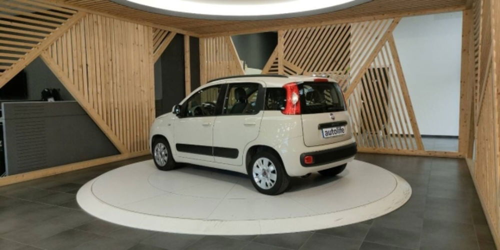 Fiat Panda usata a Catanzaro (10)