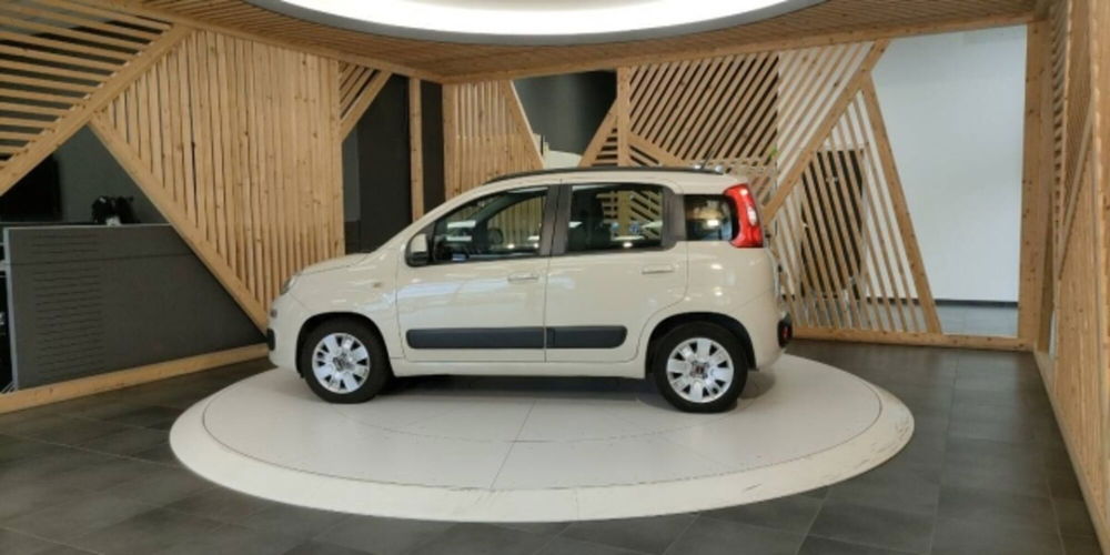 Fiat Panda usata a Catanzaro (11)