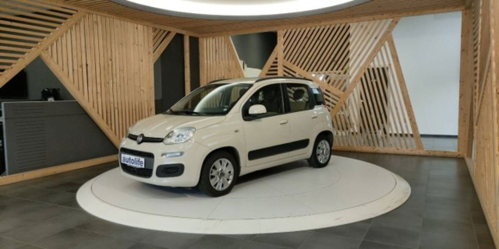 Fiat Panda usata a Catanzaro (14)