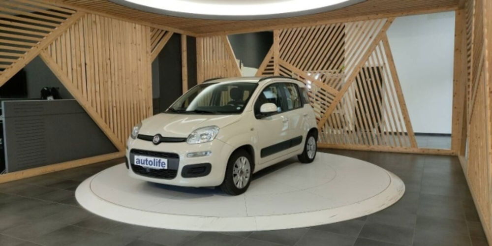 Fiat Panda usata a Catanzaro (15)