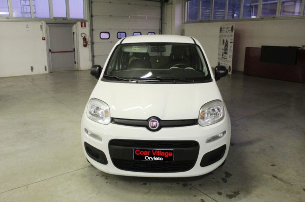 Fiat Panda usata a Terni (2)