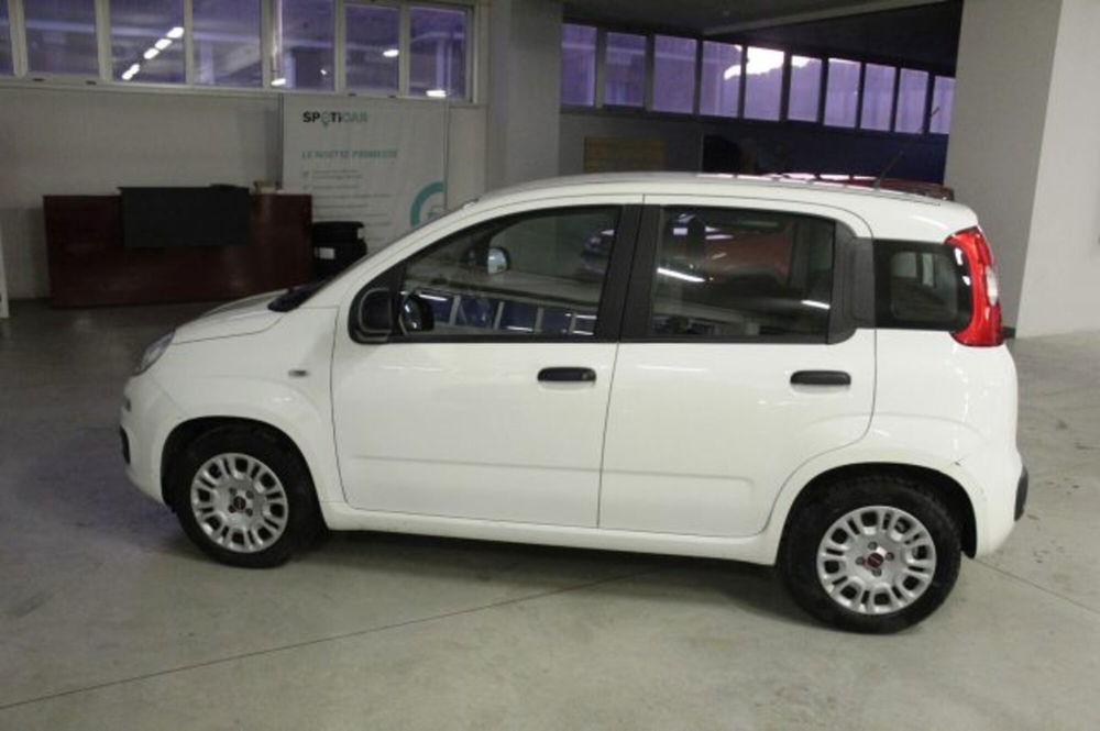 Fiat Panda usata a Terni (3)