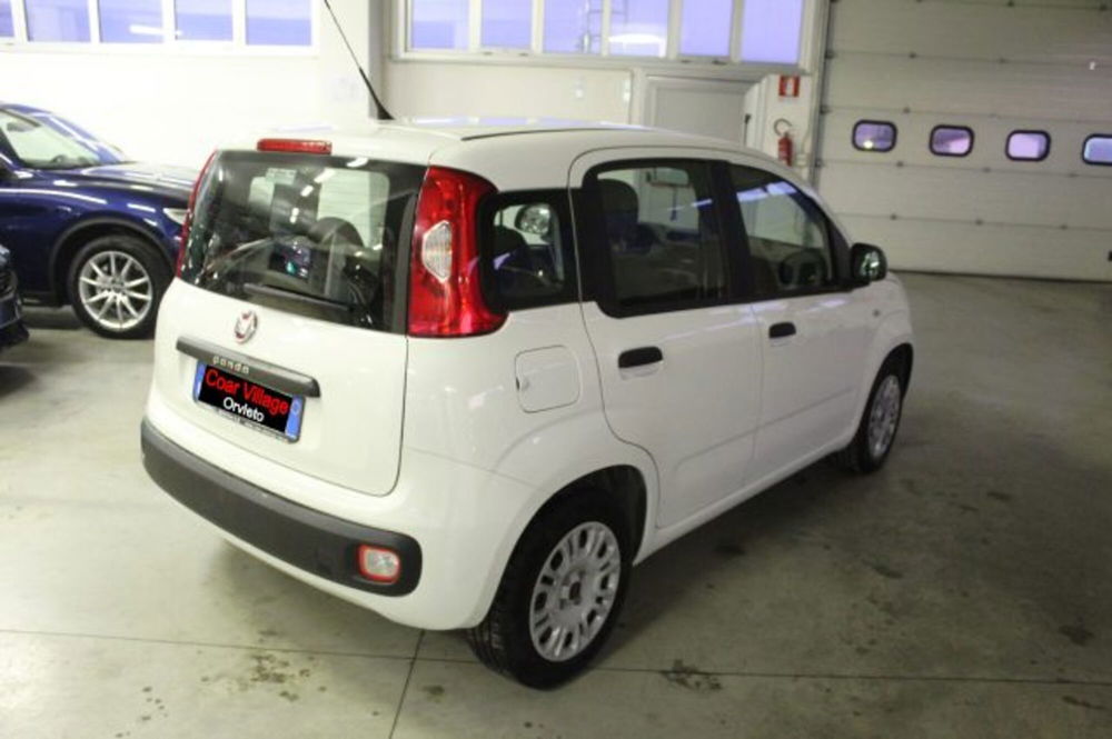 Fiat Panda usata a Terni (4)