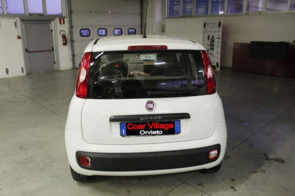 Fiat Panda usata a Terni (5)