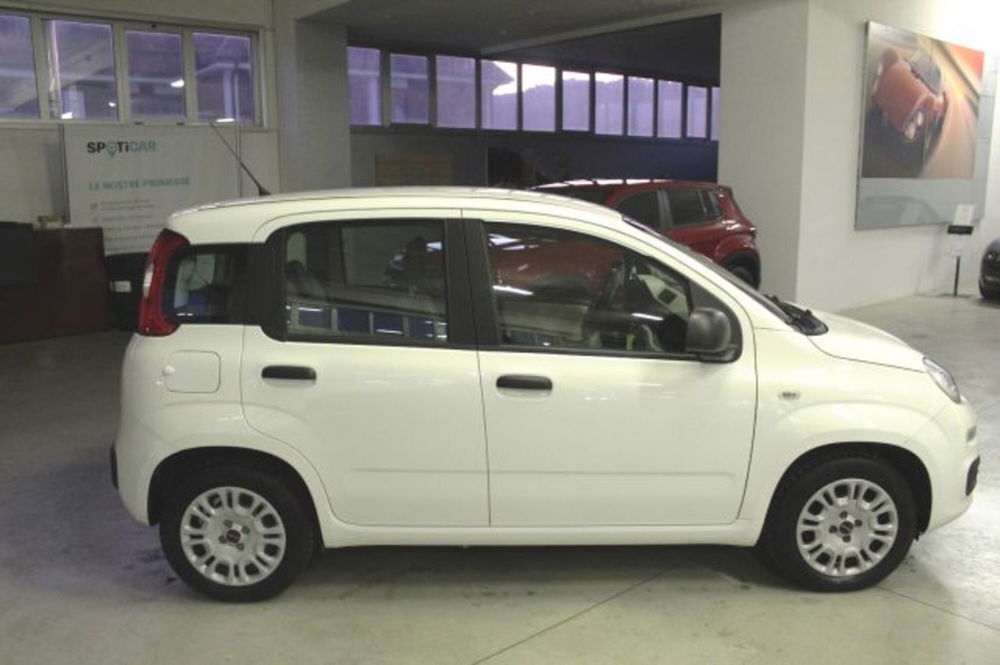 Fiat Panda usata a Terni (6)