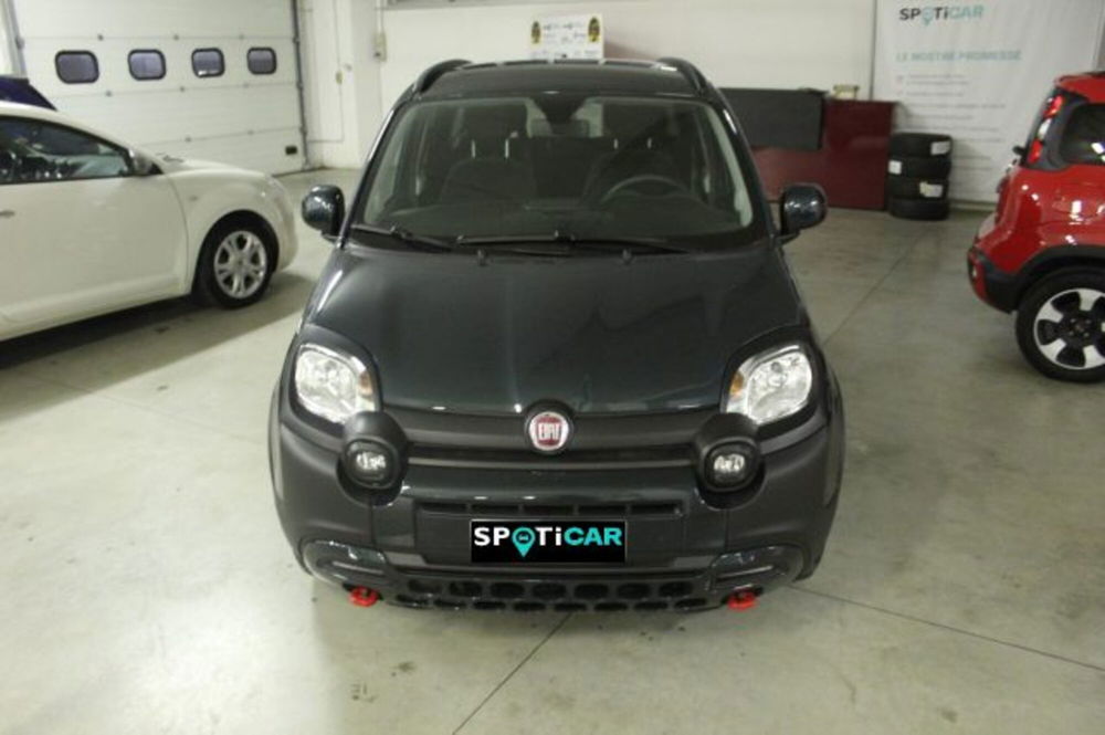 Fiat Panda Cross usata a Terni (2)