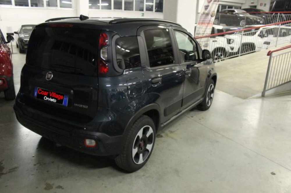 Fiat Panda Cross usata a Terni (4)