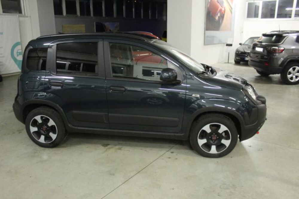 Fiat Panda Cross usata a Terni (6)