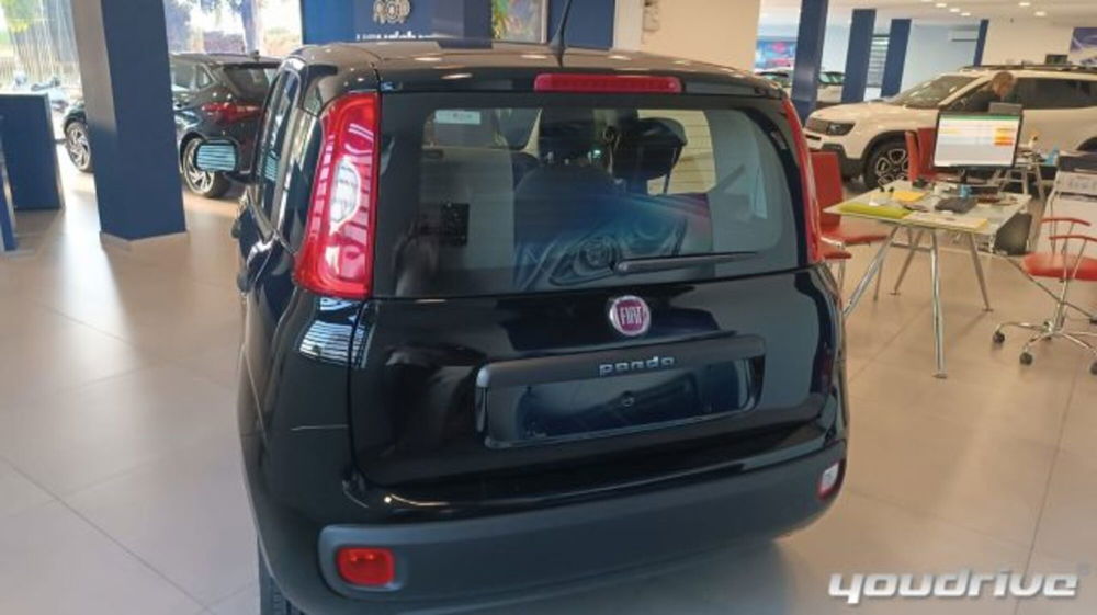 Fiat Panda usata a Napoli (4)