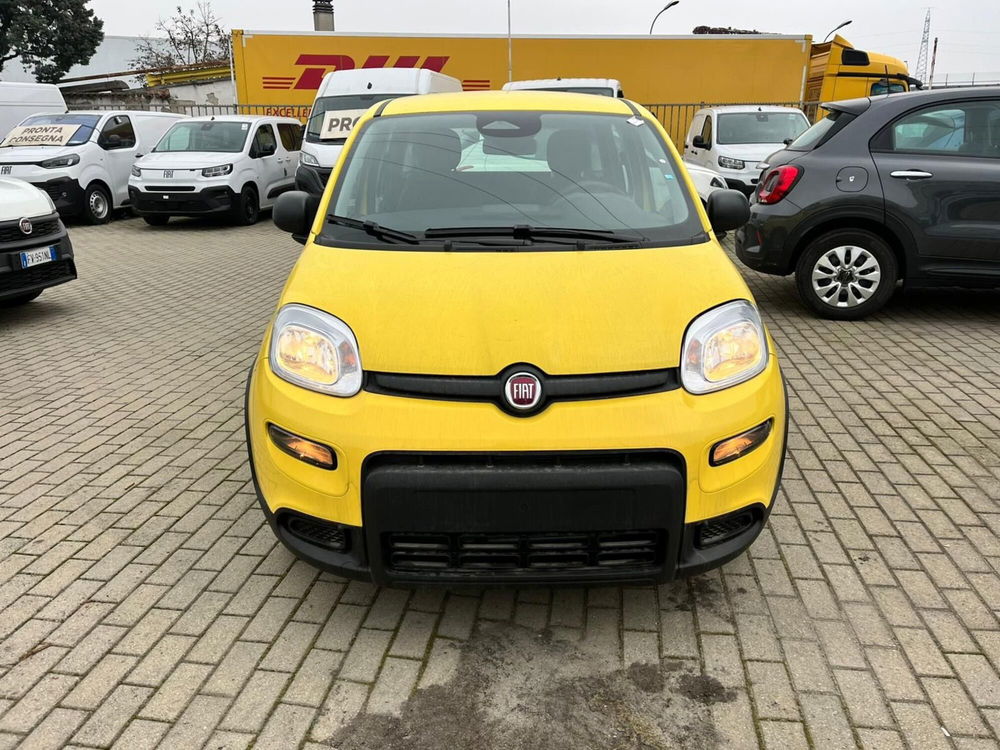 Fiat Panda Cross nuova a Milano (2)